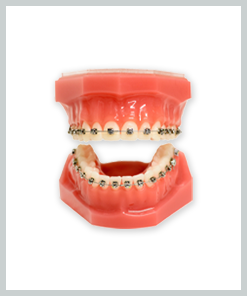 Orthodontics