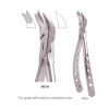 Adult Forceps - Upper