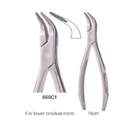 Adult Forceps - Lower